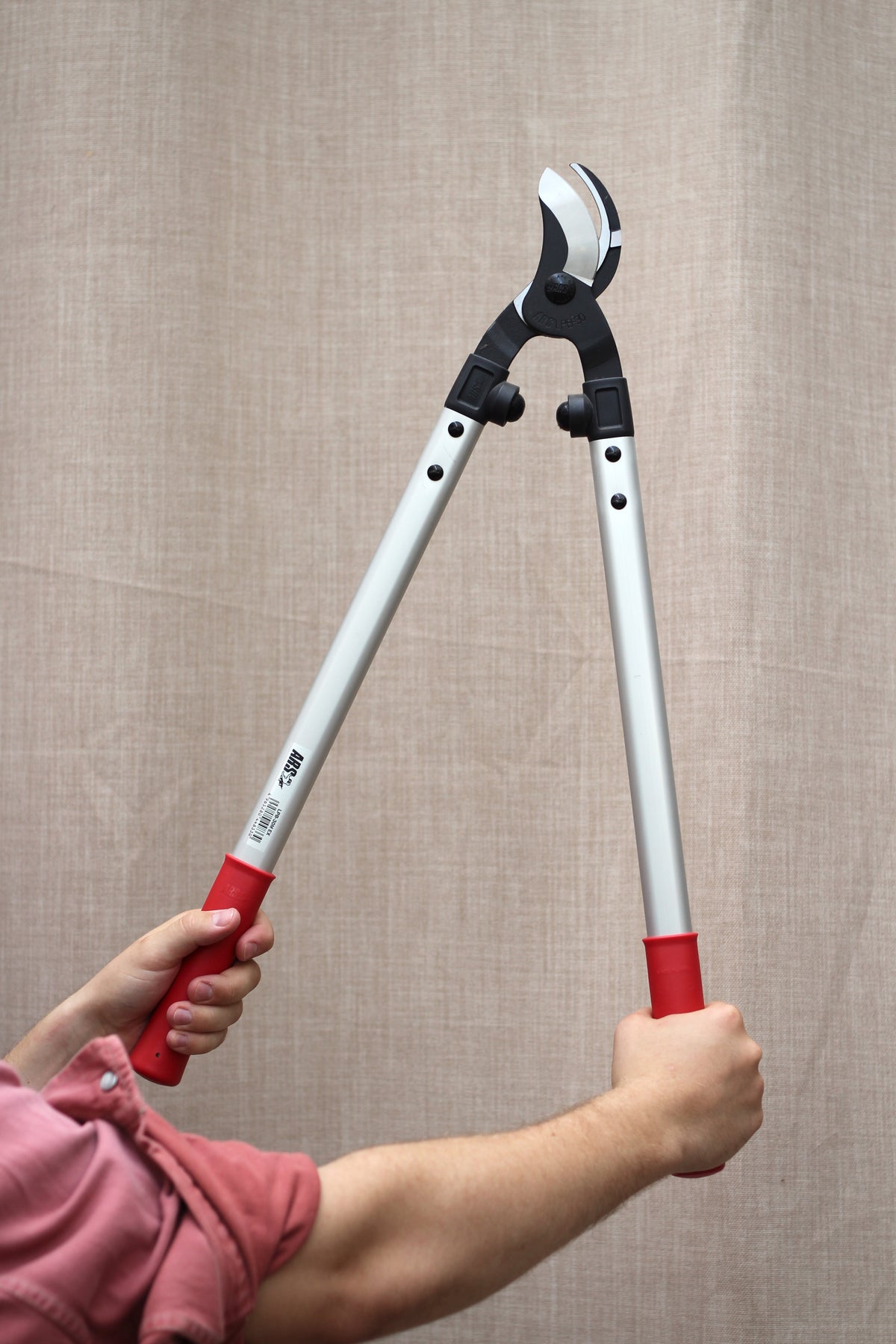 ARS Ørnenæb 63 cm