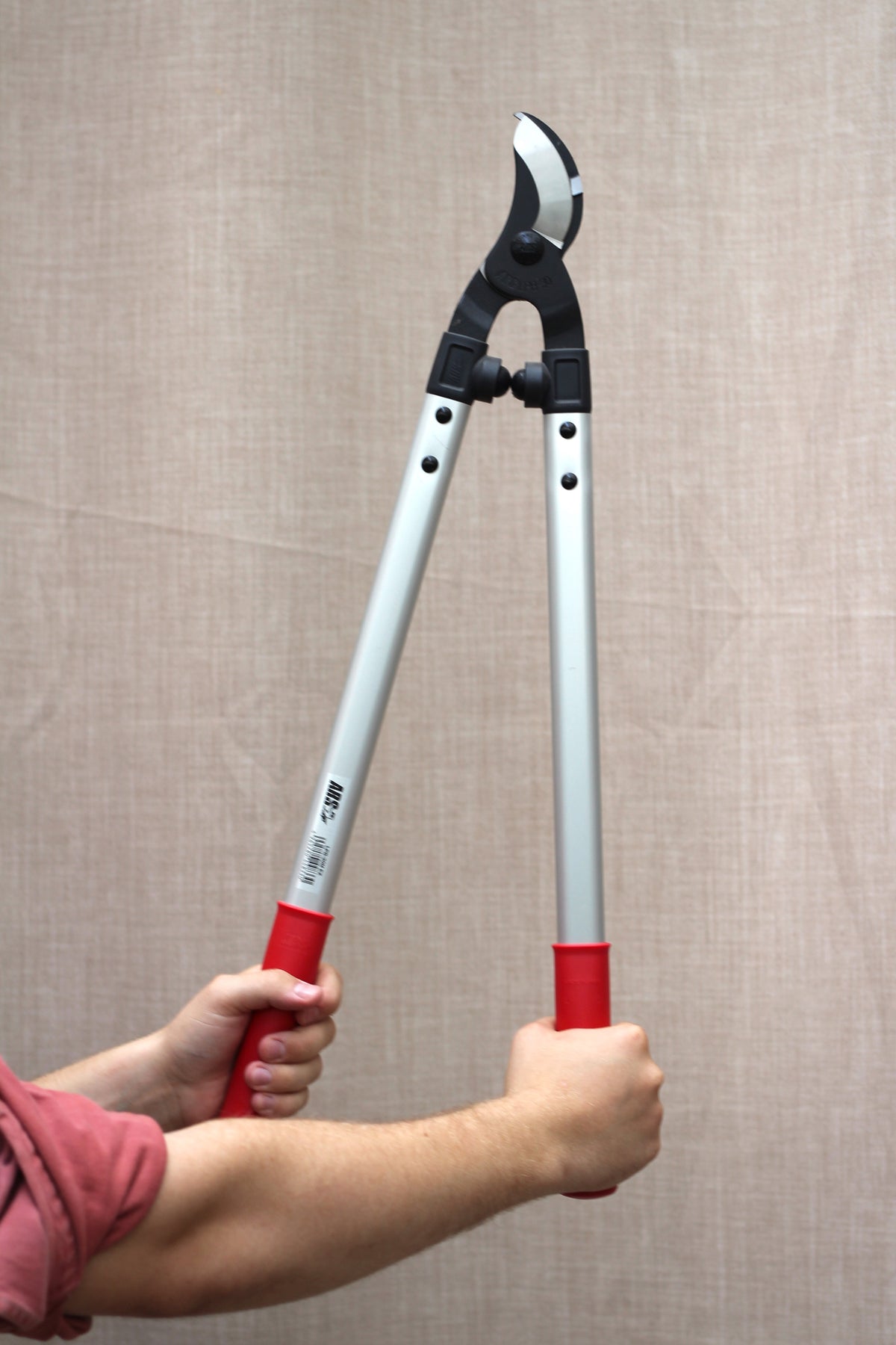 ARS Ørnenæb 63 cm