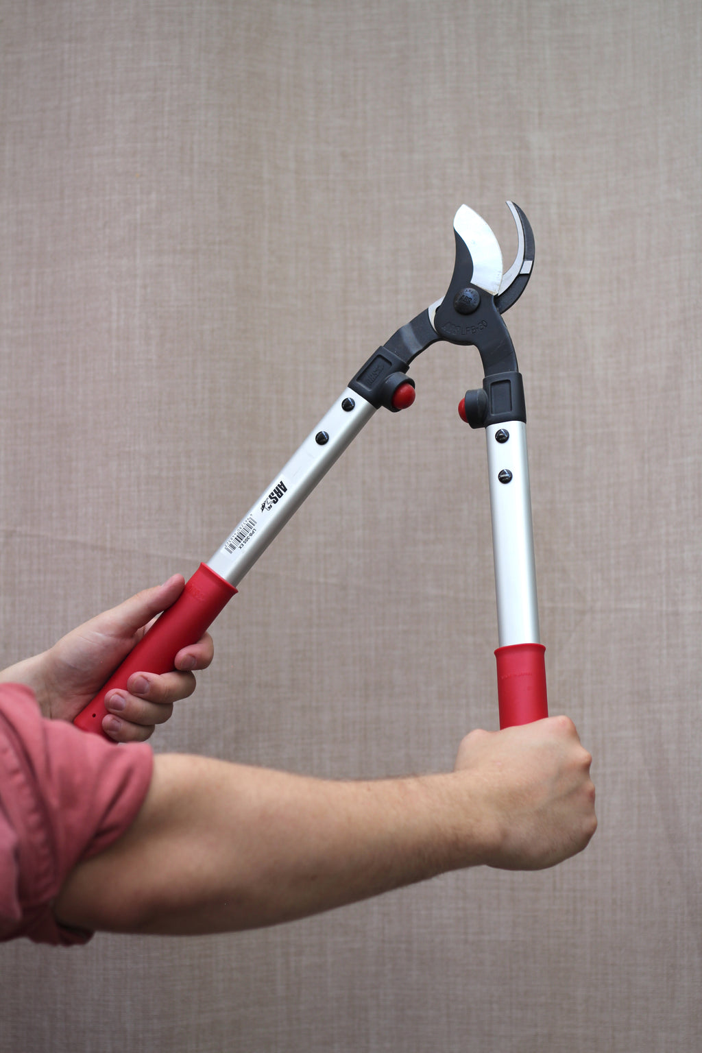 ARS Ørnenæb 48 cm