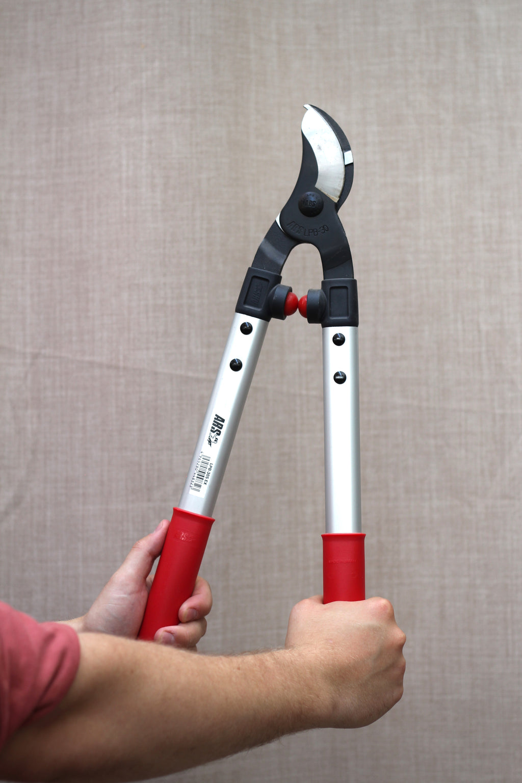 ARS Ørnenæb 48 cm