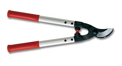 ARS Ørnenæb 48 cm
