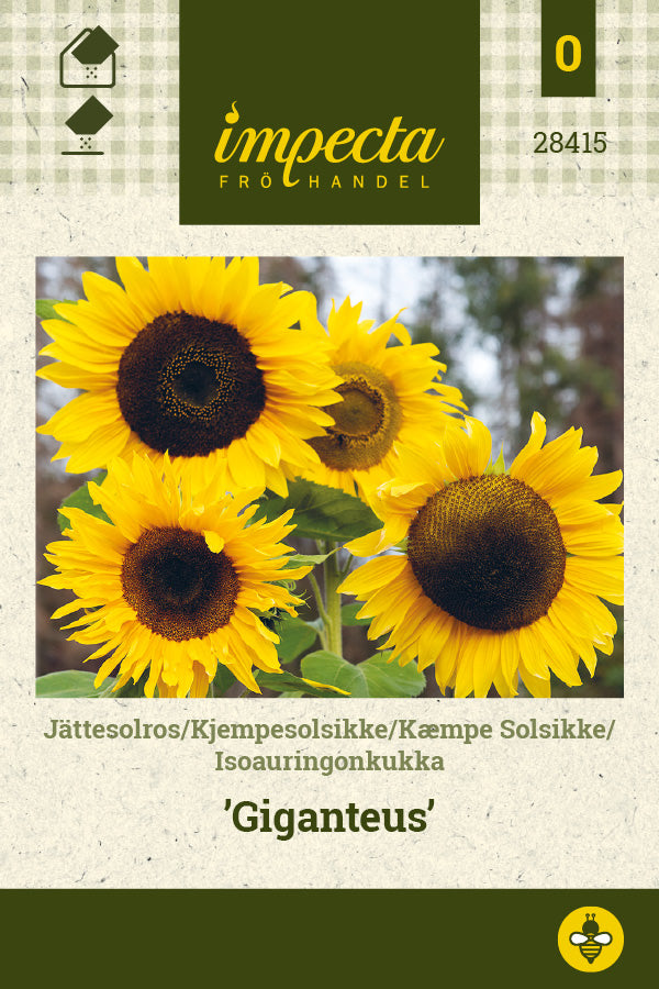 Frø: Kæmpesolsikke 'Giganteus'