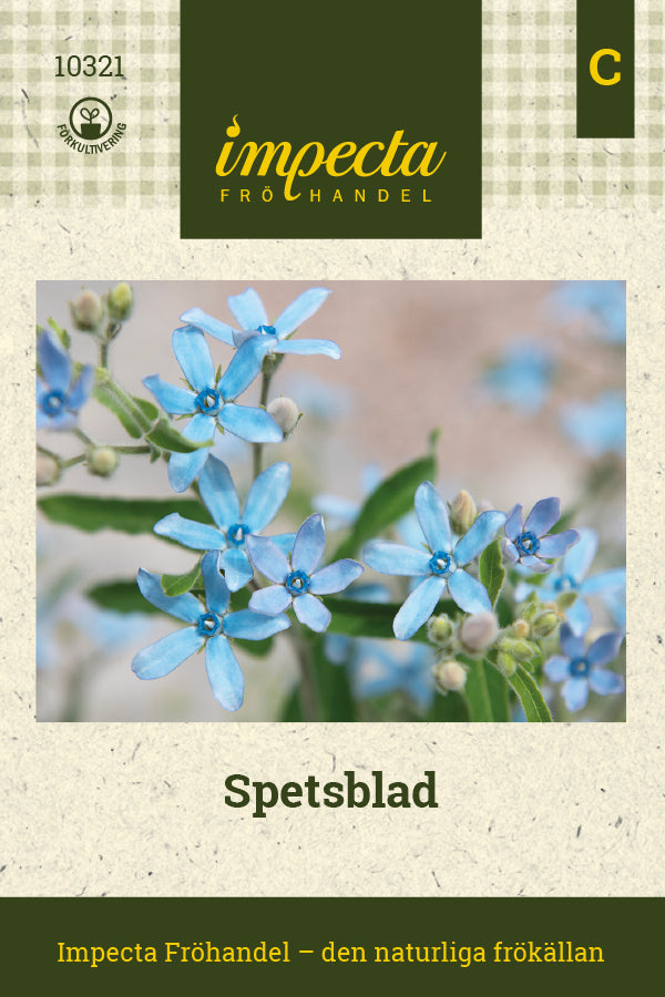 Frø: Spidsblad