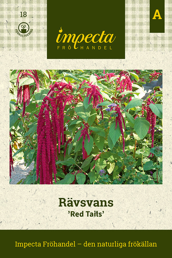 Frø: Rævehale 'Red Tails'