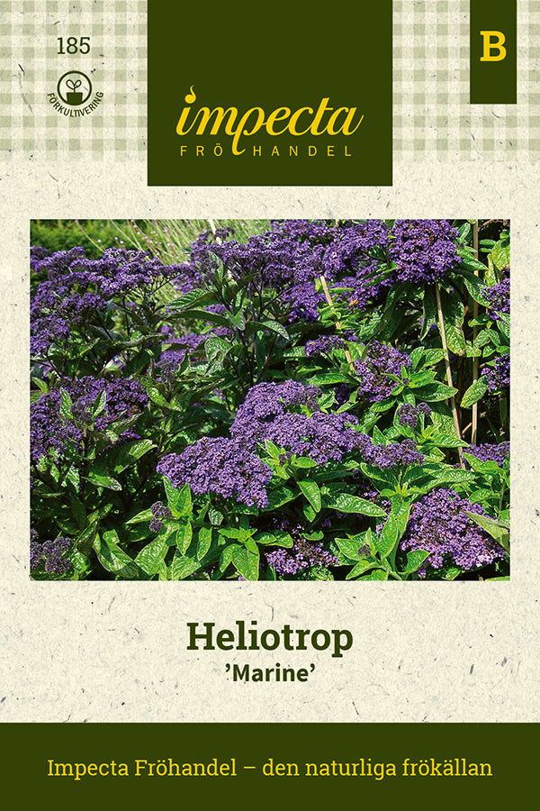 Frø: Heliotrop 'Marine'
