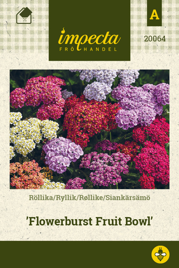 Frø: Røllike 'Flowerburst Fruit Bowl'
