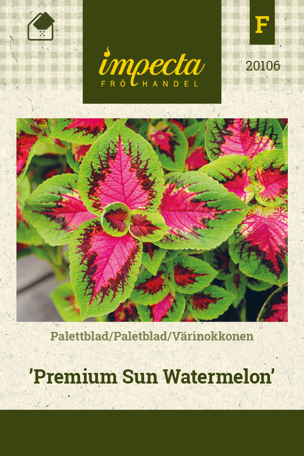 Frø: Paletblad 'Premium Sun Watermelon'