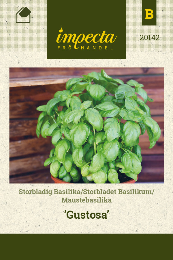 Frø: Storbladet basilikum 'Gustosa'