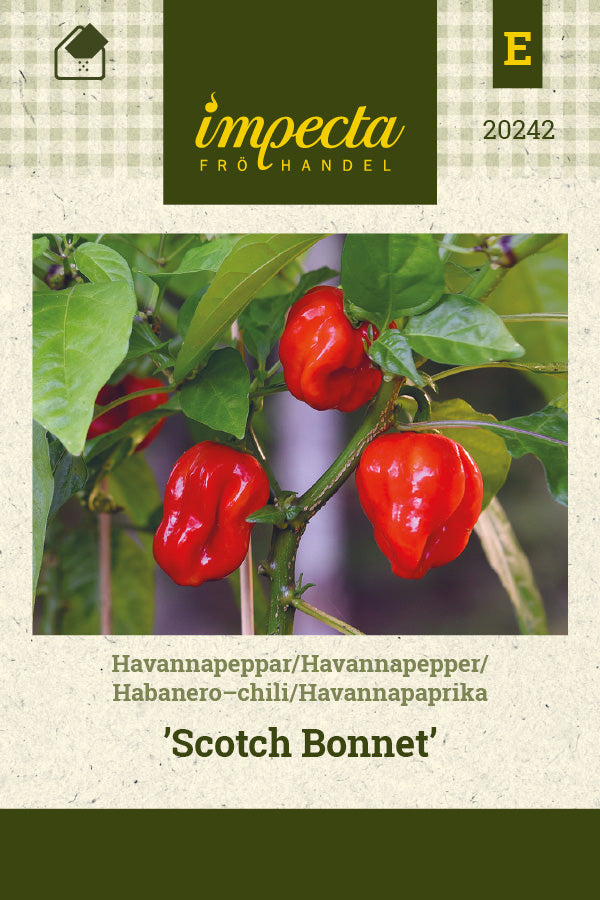 Frø: Habanero-chili 'Scotch Bonnet'