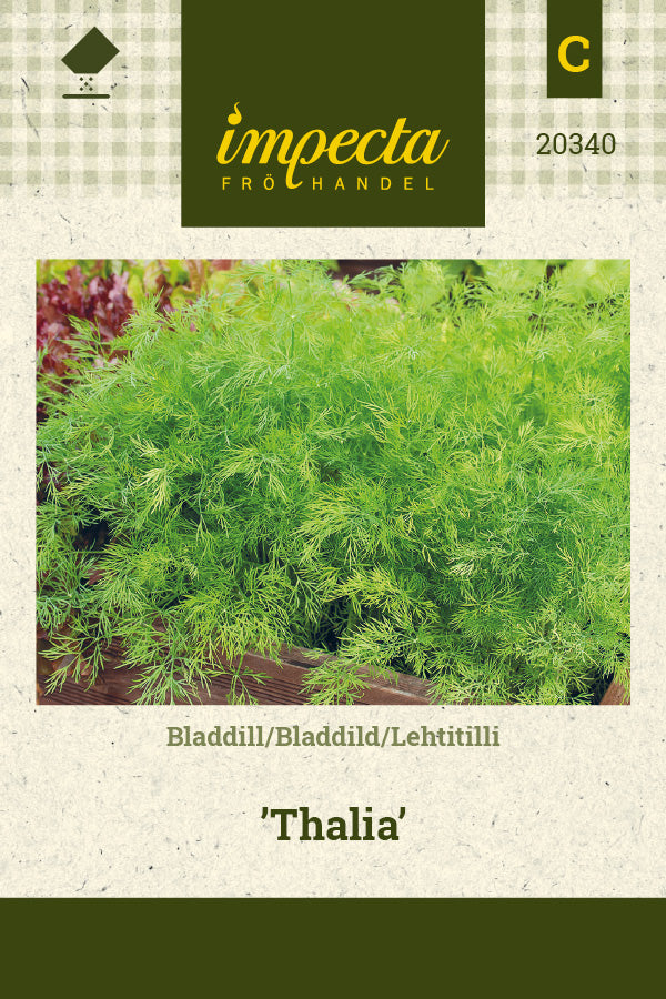 Frø: Bladdild 'Thalia'