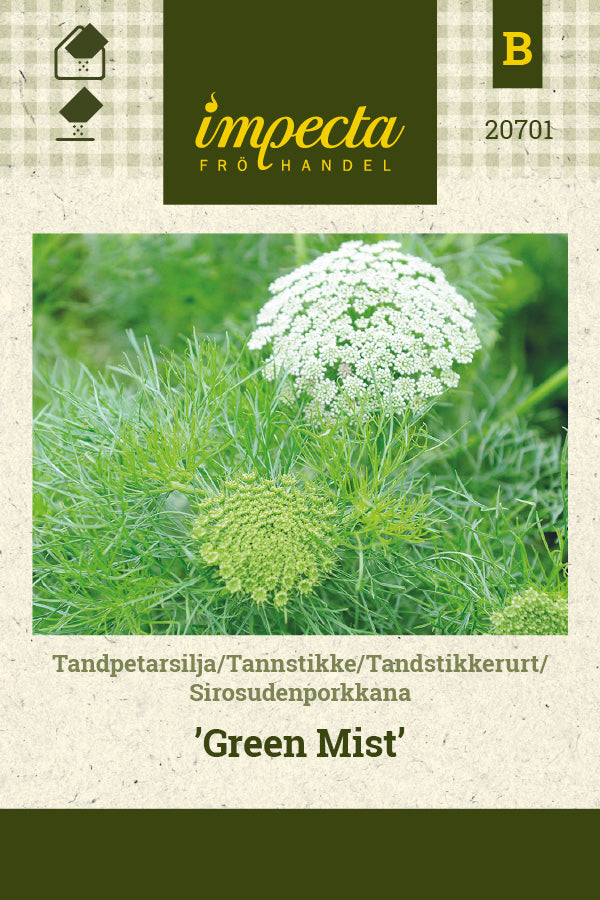 Frø: Tandstikkerurt 'Green Mist'