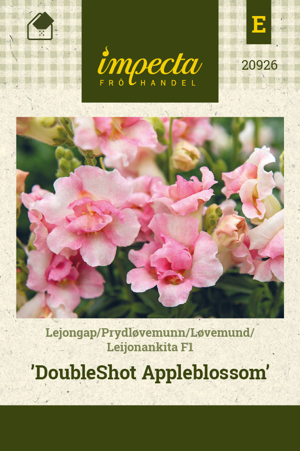 Frø: Løvemund F1 'DoubleShot Appleblossom'