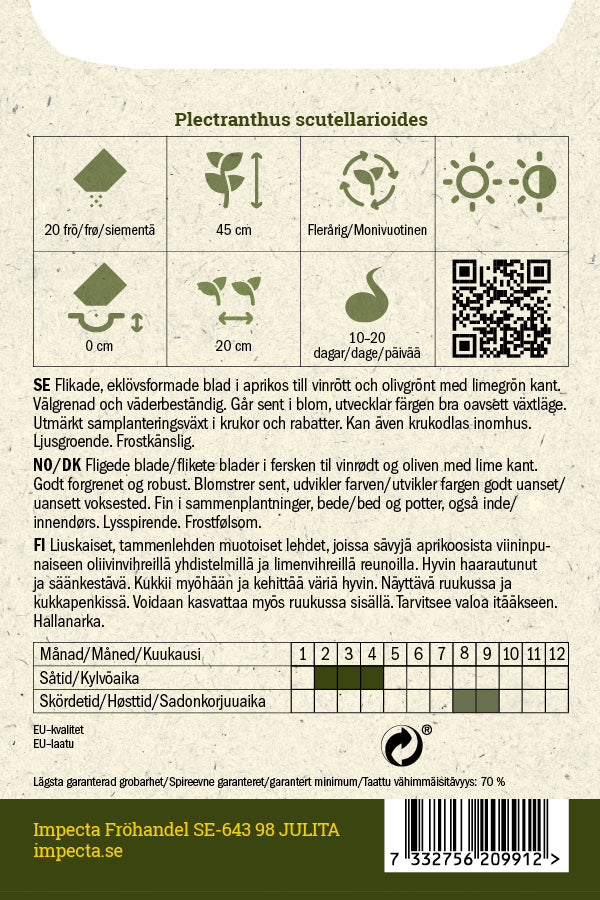 Frø: Paletblad 'Colocha Scarlet'