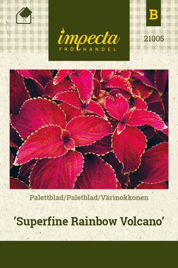 Frø: Paletblad 'Superfine Rainbow Volcano'