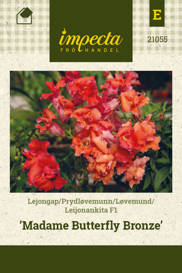 Frø: LøvemundF1 'Madame Butterfly Bronze'
