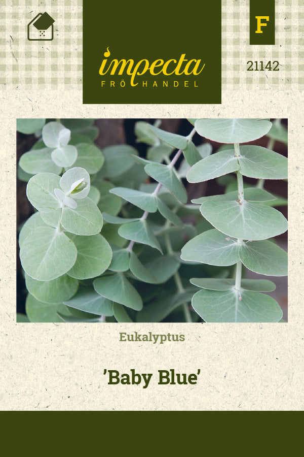 Frø: Eukalyptus 'Baby Blue'