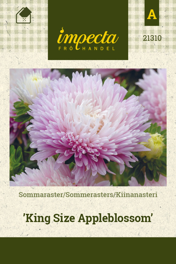Frø: Sommerasters 'King Size Appleblossom'