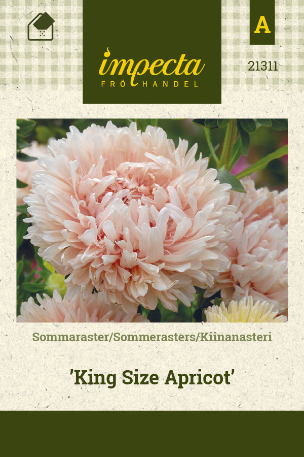 Frø: Sommerasters 'King Size Apricot'