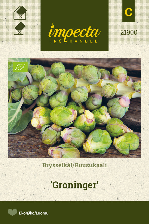 Frø: Rosenkål 'Groninger'
