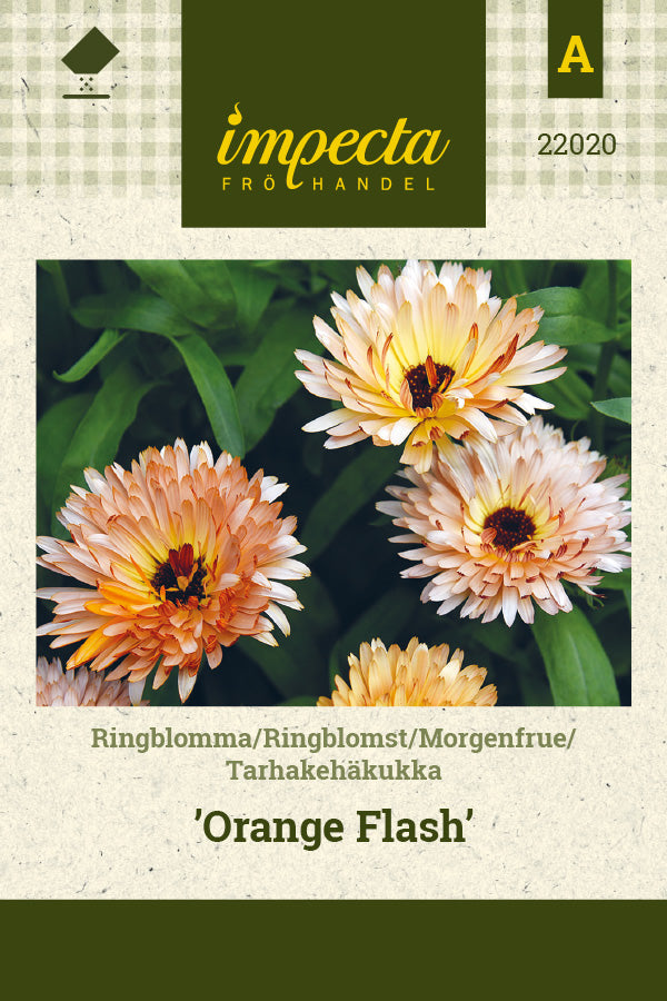 Frø: Morgenfrue 'Orange Flash'