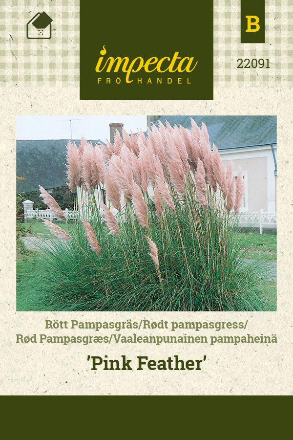 Frø: Rød Pampasgræs 'Pink Feather'