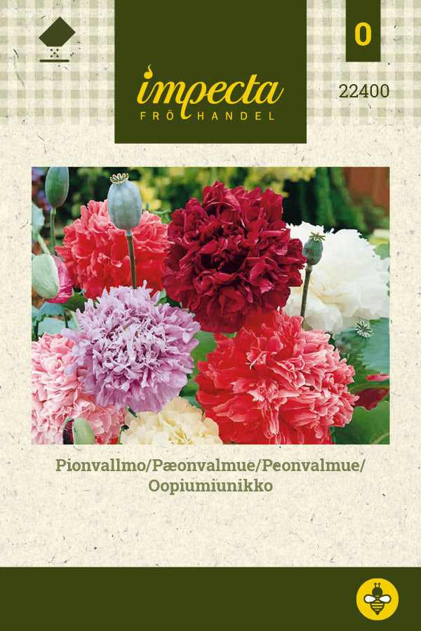 Frø: Pæonvalmue