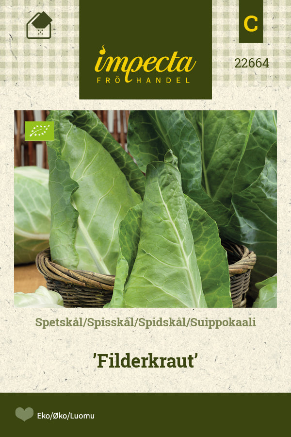 Frø: Spidskål 'Filderkraut'