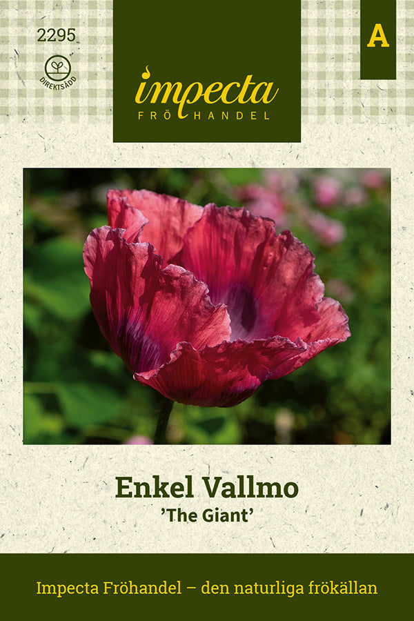 Frø: Enkel Valmue 'The Giant'