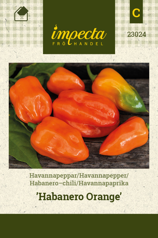 Frø: Habanero-chili 'Habanero Orange'