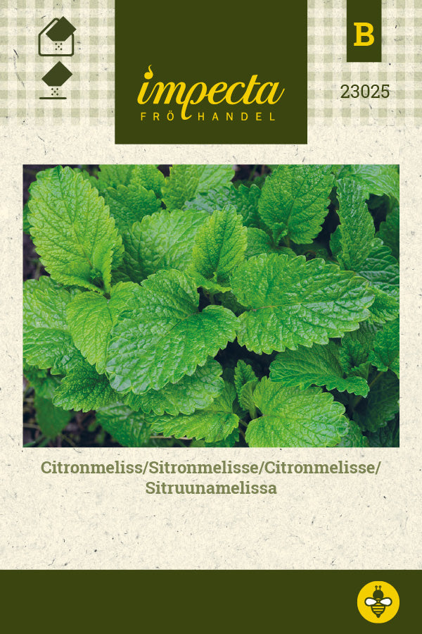 Frø: Citronmelisse