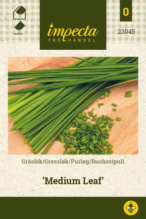 Frø: Purløg 'Medium Leaf'