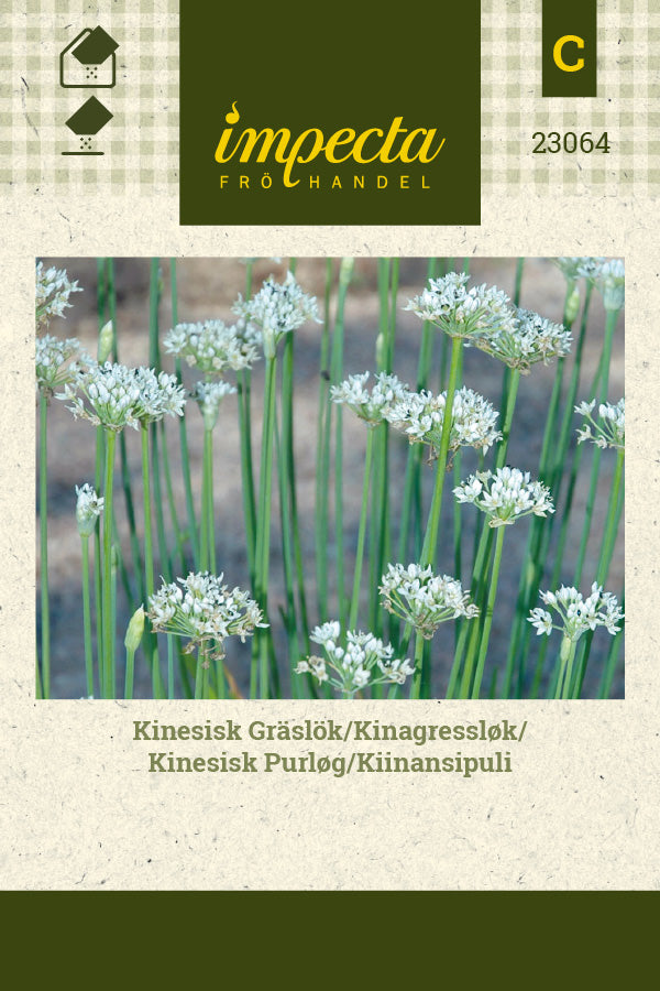 Frø: Kinesisk Purløg