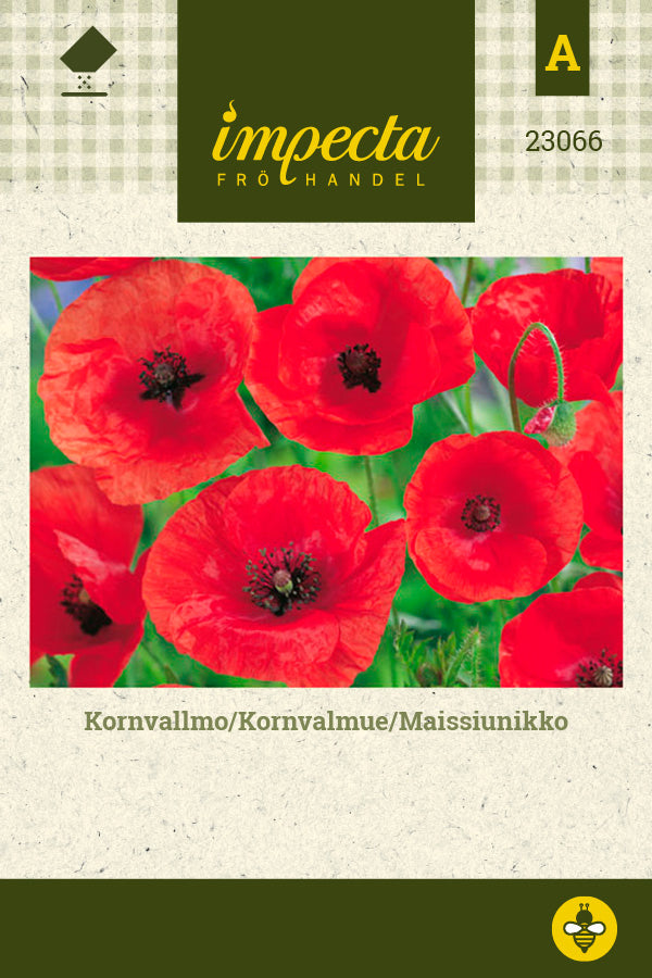 Frø: Kornvalmue