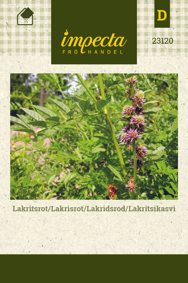 Frø: Lakridsrod