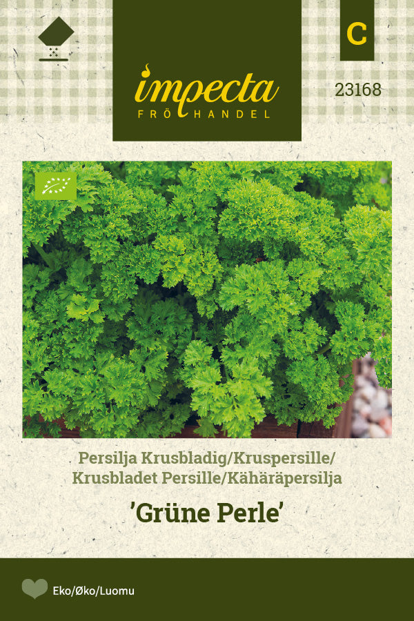 Frø: Krusbladet Persille 'Grüne Perle'