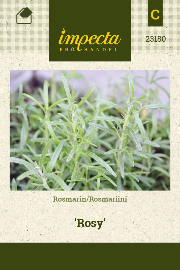 Frø: Rosmarin 'Rosy'