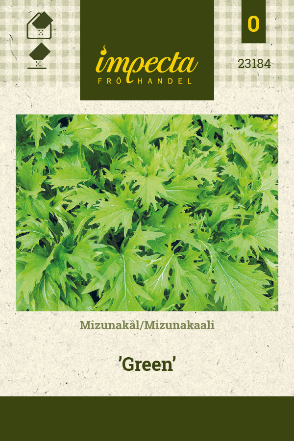 Frø: Mizunakål 'Green'
