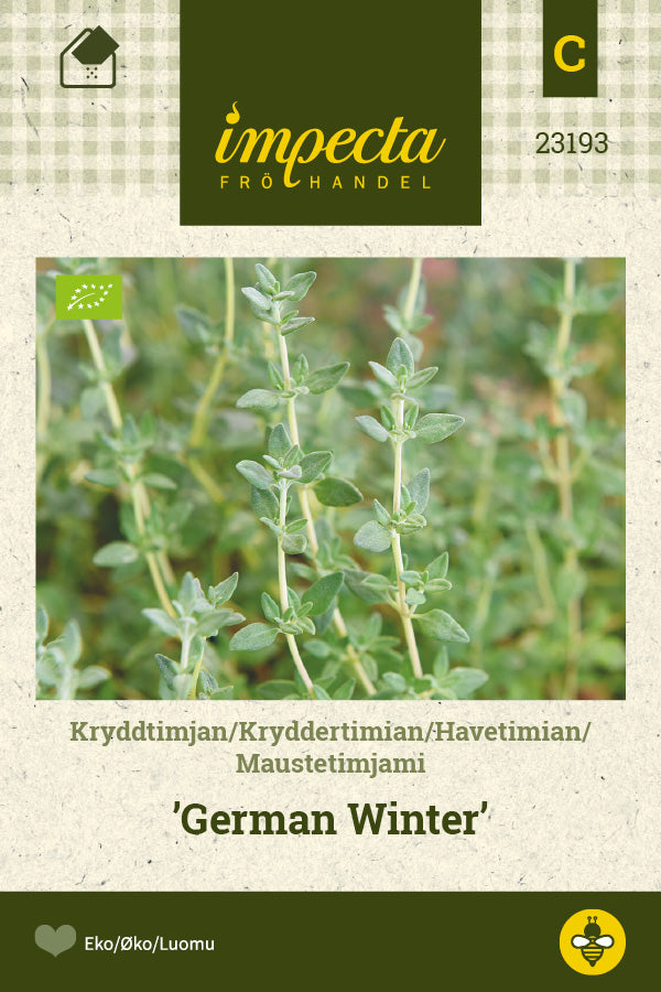 Frø: Havetimian 'German Winter'