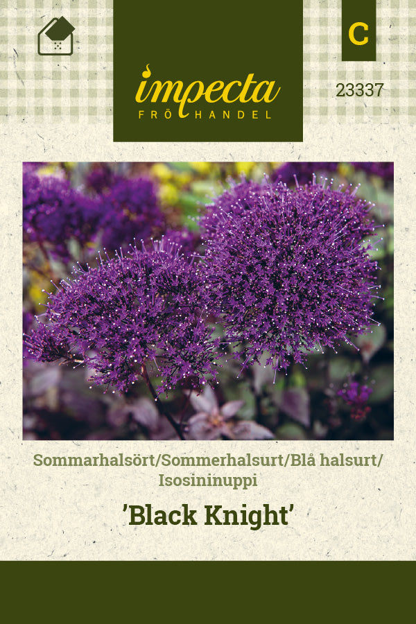 Frø: Blå halsurt 'Black Knight'