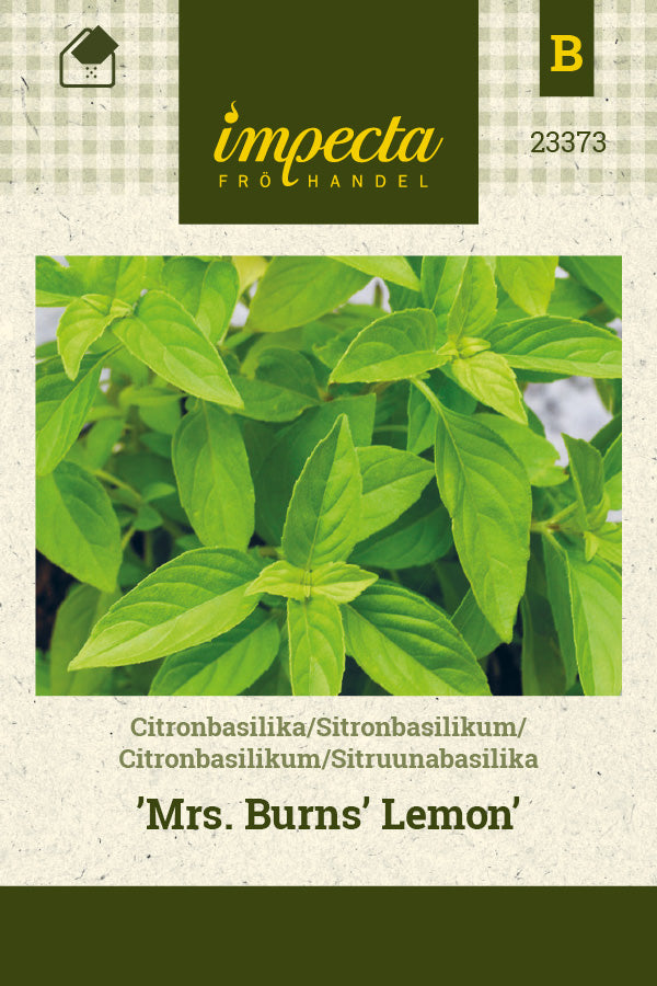 Frø: Citronbasilikum 'Mrs. Burns' Lemon'