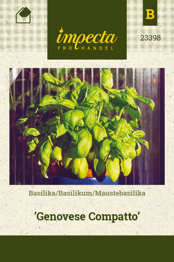 Frø: Basilikum 'Genovese Compatto'