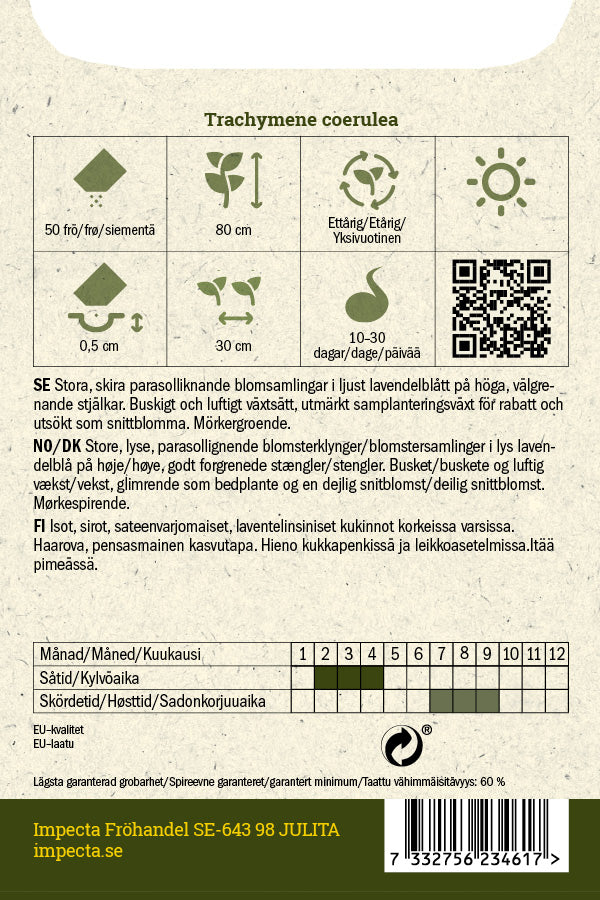 Frø: Blå kniplingsblomst 'Lace Blue'