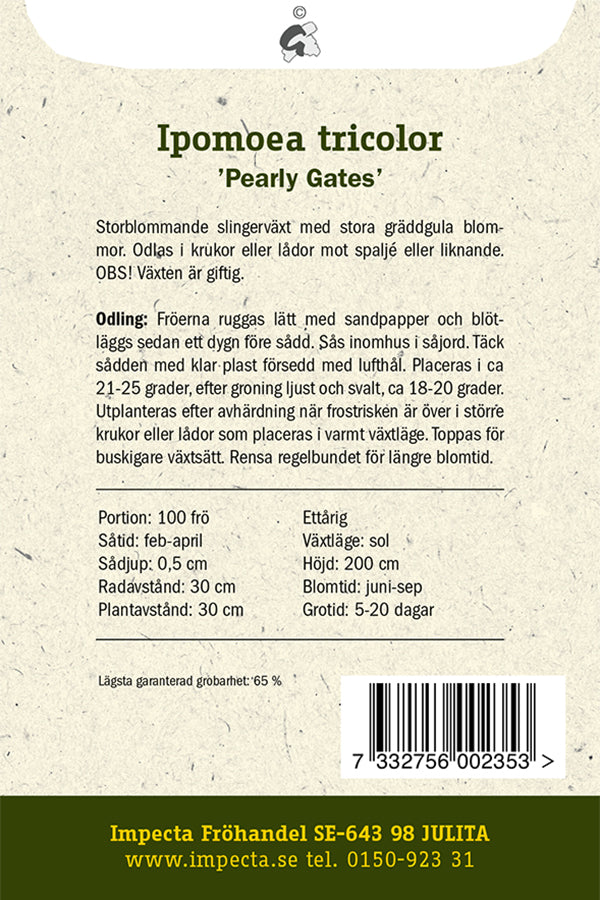Frø: Trefarvet Pragtsnerle 'Pearly Gates'