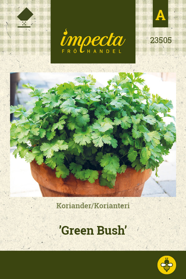 Frø: Koriander 'Green Bush'