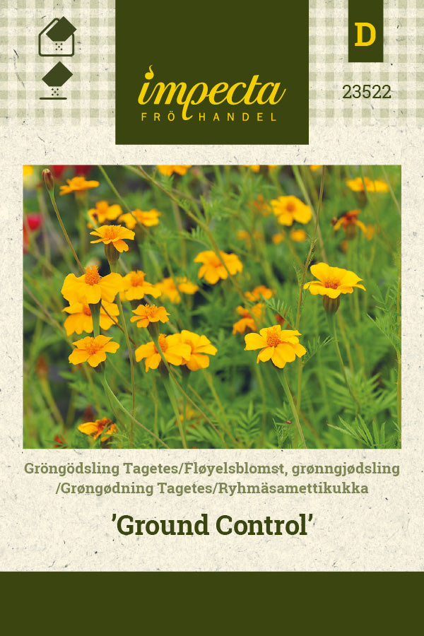 Frø: Grøngødning Tagetes 'Ground Control'