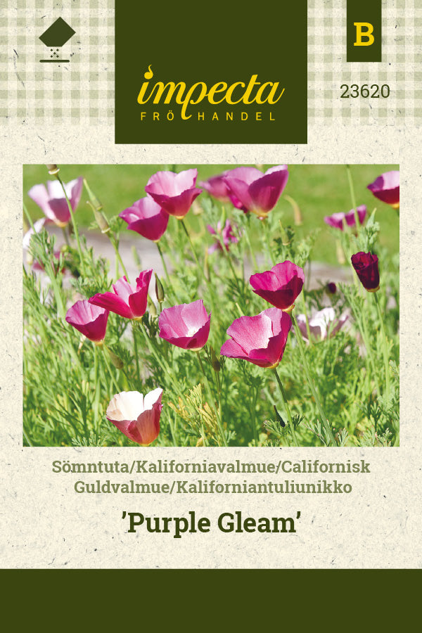 Frø: Californisk Guldvalmue 'Purple Gleam'