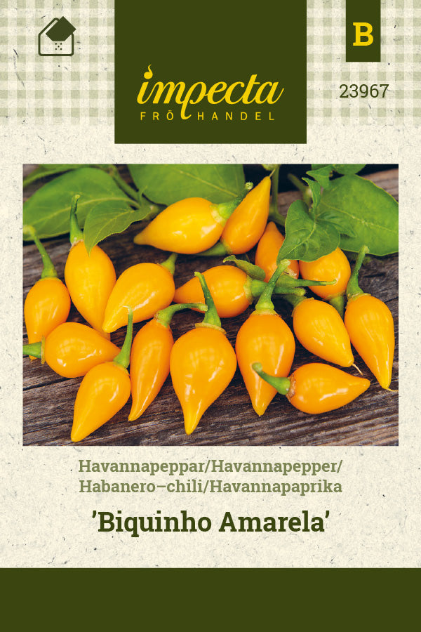 Frø: Habaneropeber 'Biquinho Amarela'