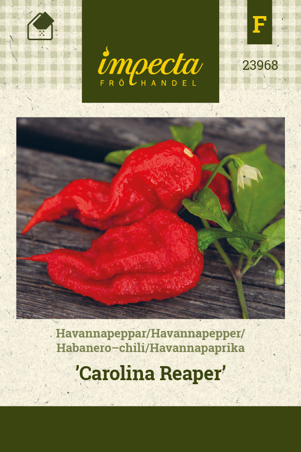 Frø: Habaneropeber 'Carolina Reaper'