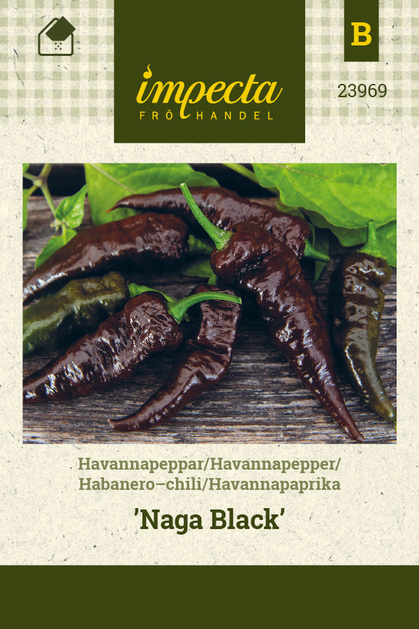 Frø: Habaneropeber 'Naga Black'