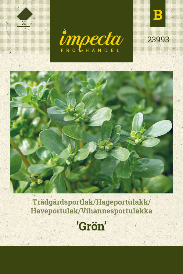 Frø: Haveportulak 'Grön'